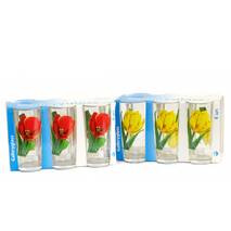 Zestaw szklanek 6 szt. * 200 ml "Valse des fleurs" Tulipan (05с1256)