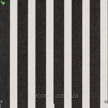 Uliczna dekoracyjna tkanka w czarno - białe paski 84332v5