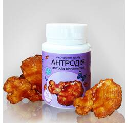 Antrodia (czerwony kamforowy grzyb ekstrakt 40%)