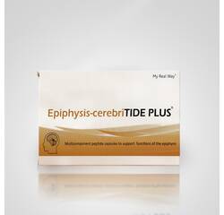 Epiphysis-cerebriTIDE PLUS - bioregulator neuropeptydowy dla układu neuroendokrynnego