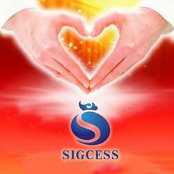 Sigcess Group v Polsce
