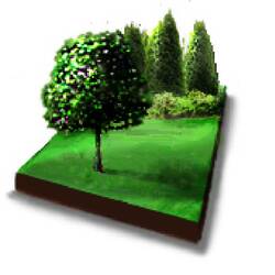  Ikony dla strony internetowej: Sadzenie drzew (photoshop)