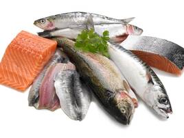 Ryba i rybne produkty